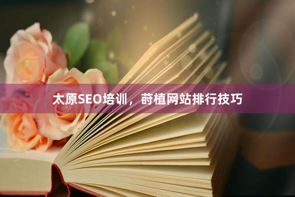 太原SEO培训，莳植网站排行技巧